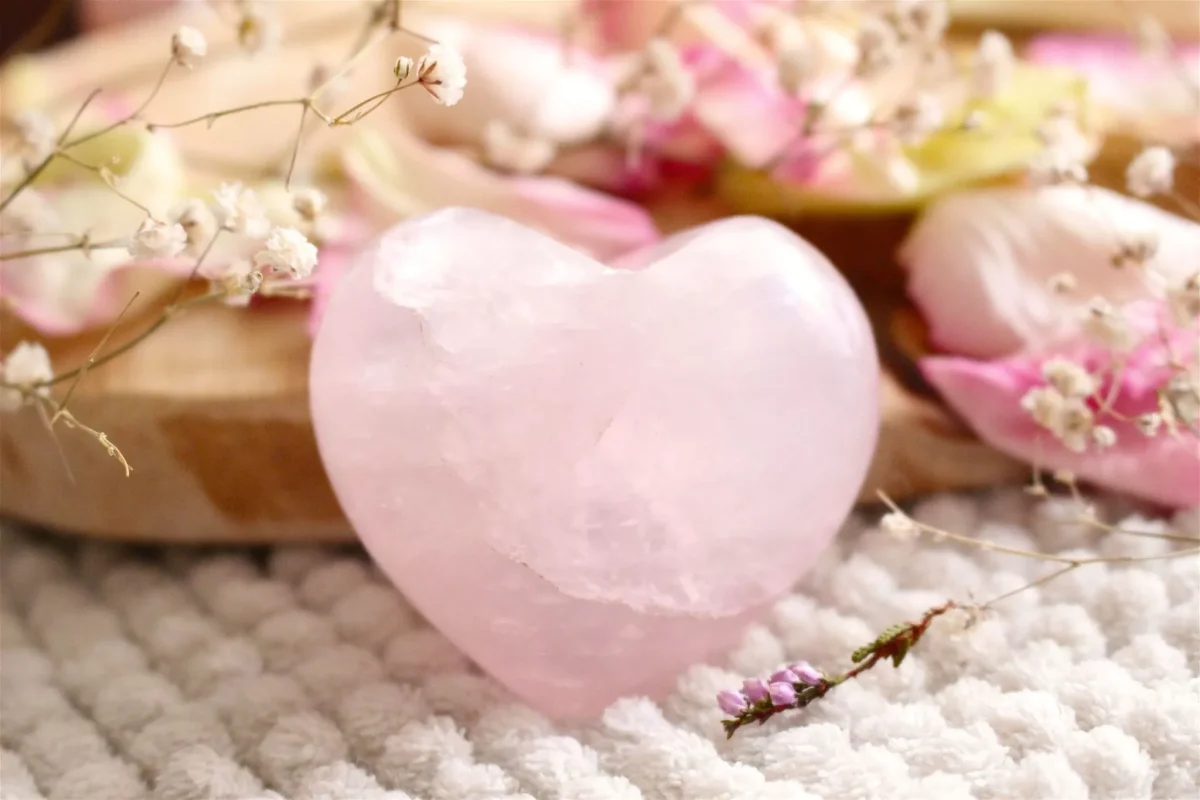 Rose Cœur Éclairage qualité frais port offerts