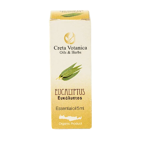 Eucalyptus Essential Oil | Organic - Saldi Straordinari – Offerte Speciali Disponibili Adesso Fresh Eucalyptus Cinerea | 70cm Scented Foliage – Mad Lilies