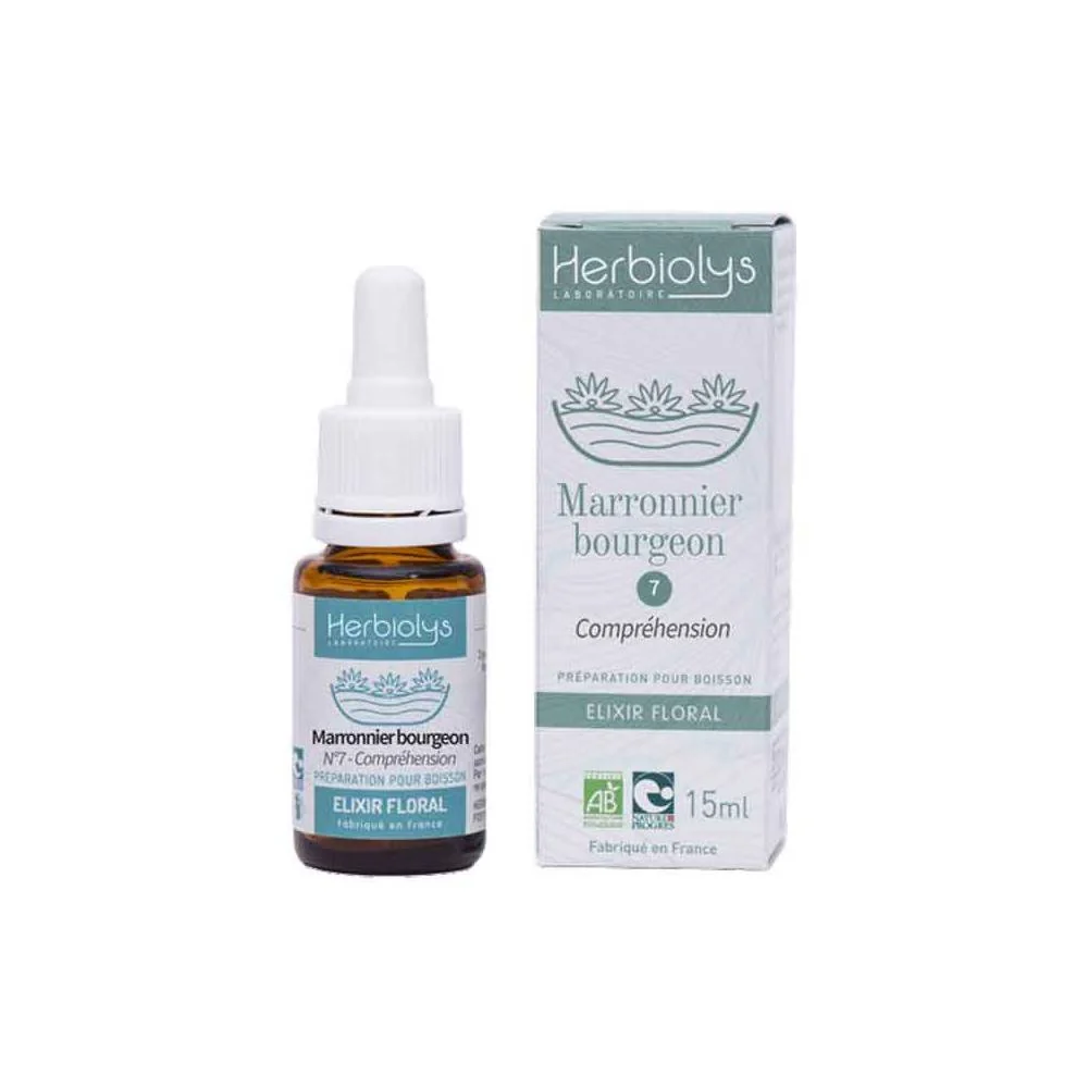 Marronnier bourgeon 15 ml BIO - Saldi Straordinari – Offerte Speciali Disponibili bonne Adesso