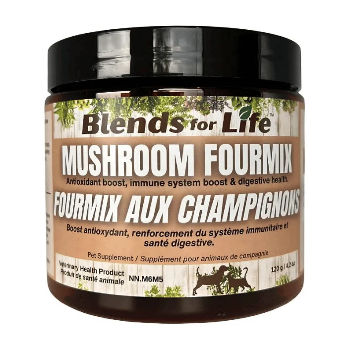 Fourmix aux champignons 120g - Saldi Straordinari – Offerte Speciali Disponibili Adesso champignon