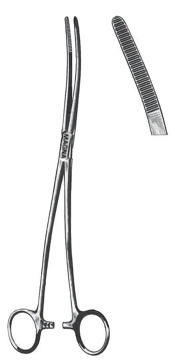 PINCE A PANSEMENT UTERIN BOZEMAN COURBE 10'' - Saldi gynécologie Straordinari – Offerte Speciali Disponibili Adesso