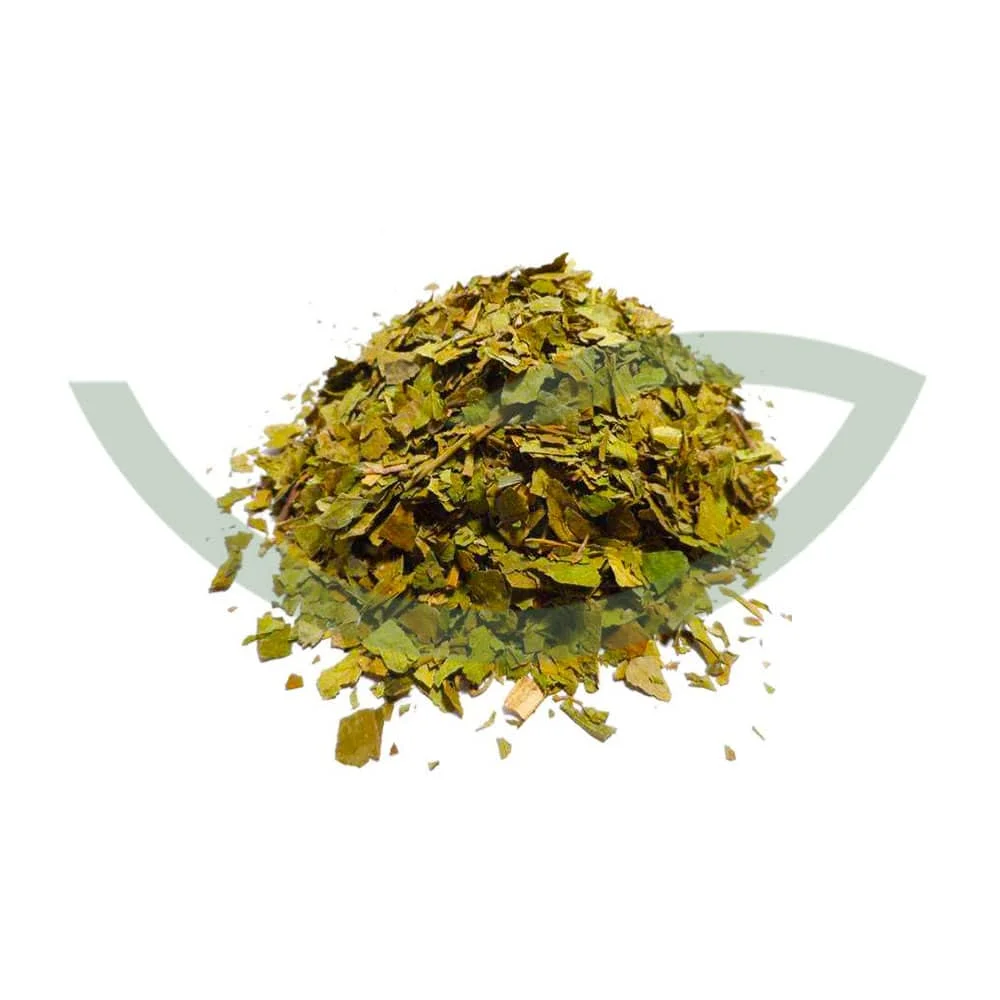 Plante Médicinale Gymnema Sylvestre Gymnema sylvestris Feuille ​Boulangerie Pâtisserie Pain Levain Viennoiseries