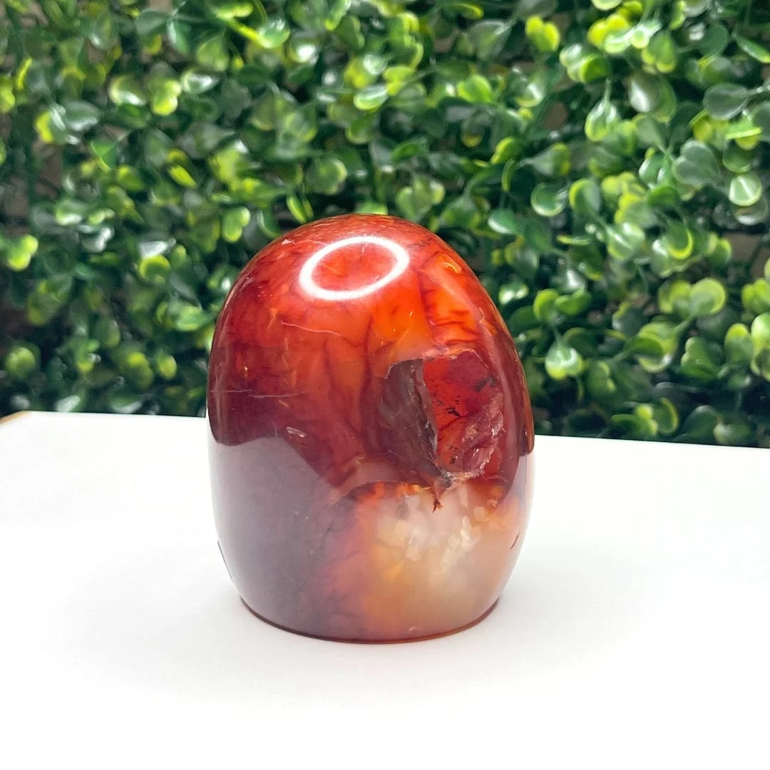 Pierre Cornaline Forme Libre - Saldi Straordinari – Offerte Speciali Disponibili Adesso Tout savoir sur les types de forme géométrique - Masteur