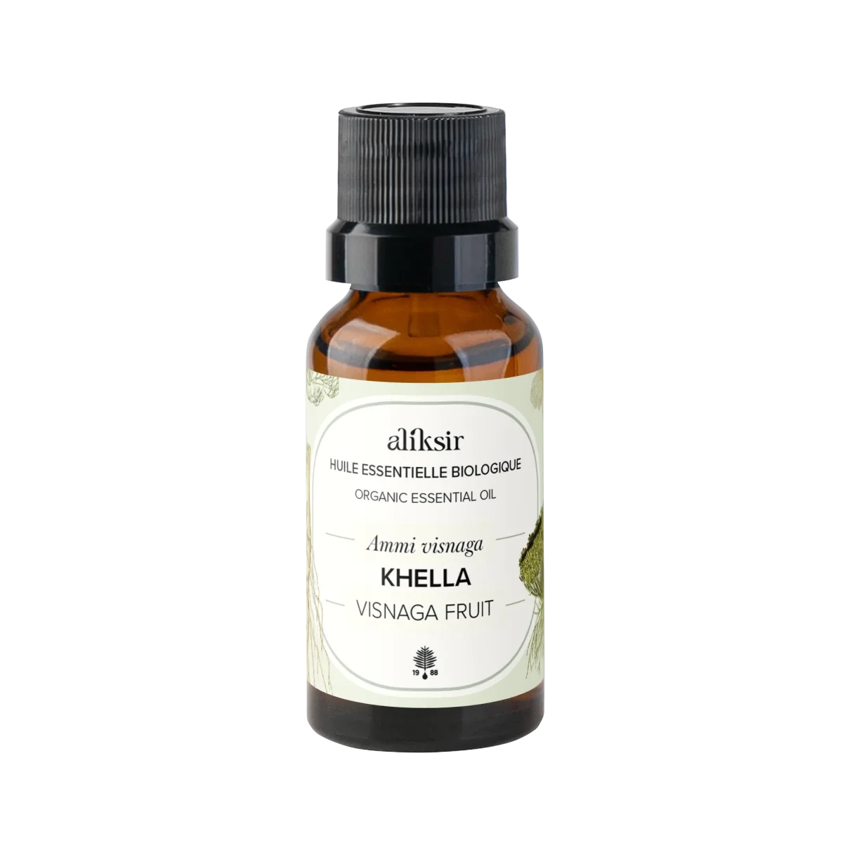 Khella (Ammi visnaga) - Huile essentielle bio - Saldi Straordinari – Offerte Speciali Disponibili Adesso Huile de table Oleor 5l - Liya Market