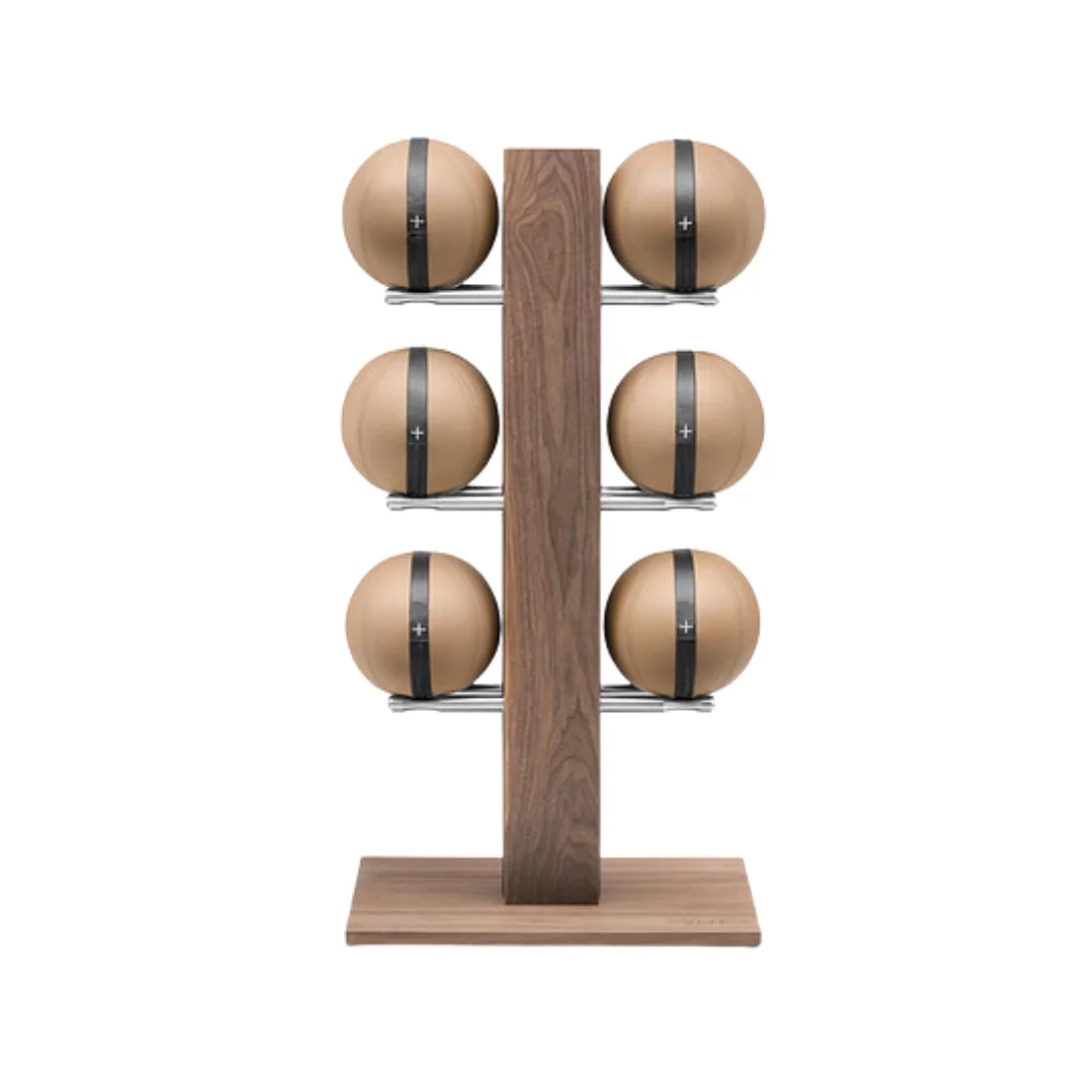 Luxury Set Medecine ball MOXA Set Vertical – PENT - Matériel sport pas cher – Meilleur rapport qualité-prix - {'count': 1, 'name': '45'}
