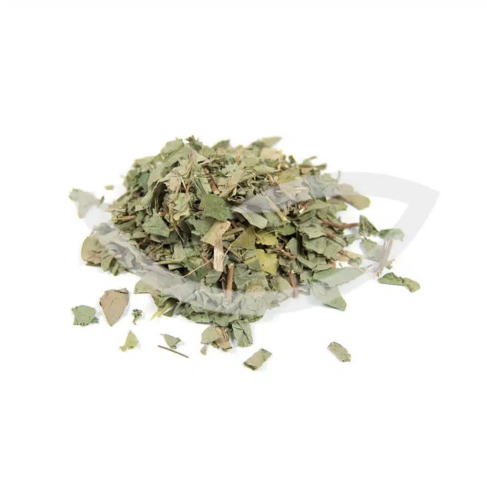Plante Médicinale Desmodium Desmodium Adscendens Feuille ​Boulangerie Pâtisserie Pain Levain Viennoiseries