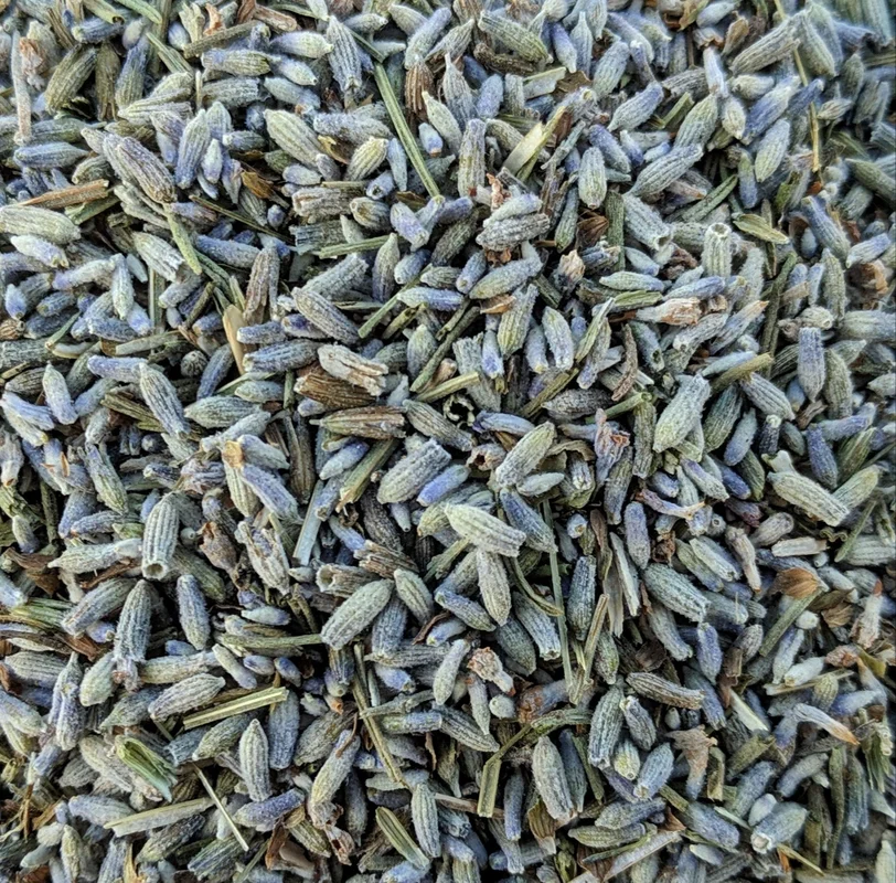 Lavande (Lavandula Officinalis) del - Saldi Straordinari – Offerte Speciali Disponibili Adesso