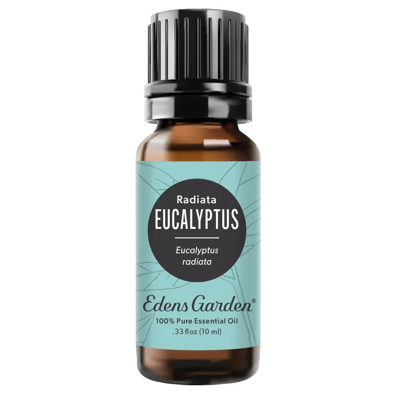 Eucalyptus- Radiata Essential Oil Saldi Straordinari Offerte Speciali Disponibili Adesso