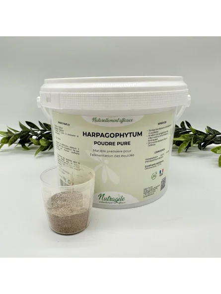 HARPAGOPHYTUM Poudre Saldi Straordinari Offerte Speciali Disponibili Adesso