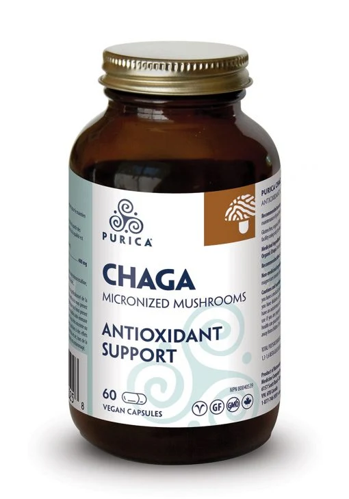 Chaga Saldi Straordinari Offerte Speciali Disponibili Adesso
