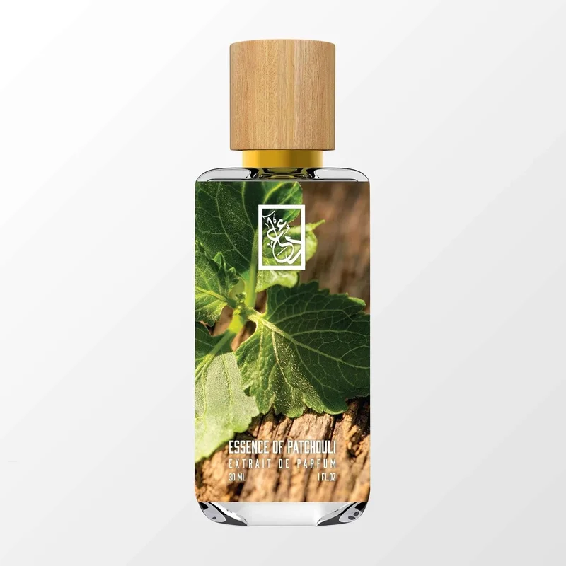 Essence of Patchouli - Saldi Straordinari – Offerte Speciali Disponibili Adesso - Vétiver