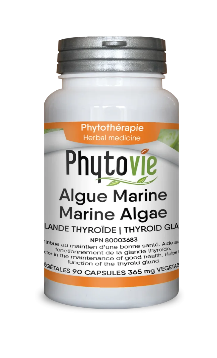 Algue Marine Shutterstock 90capsules - Saldi Straordinari – Offerte Speciali Disponibili Adesso