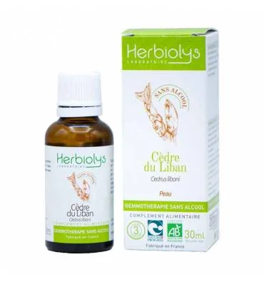 Cèdre du liban 30 ml BIO - Saldi Straordinari – Offerte Speciali Disponibili Adesso Cèdre de l'atlas, Cedrus atlantica : planter, cultiver, multiplier