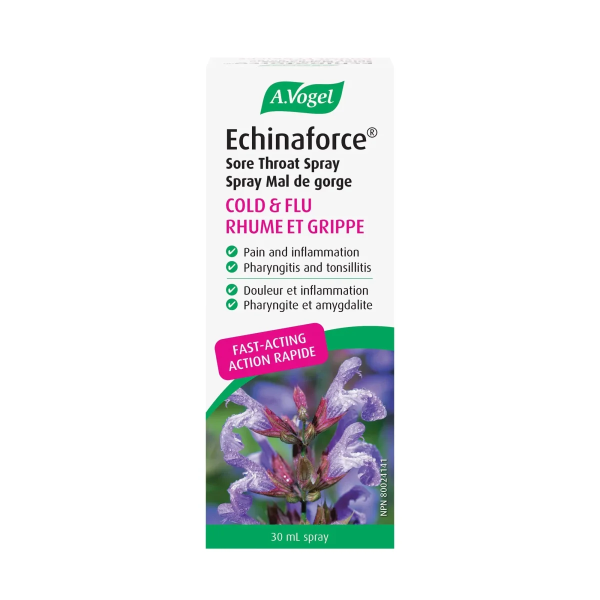 Spray gorge Echinaforce Saldi Straordinari Offerte Speciali Disponibili Adesso