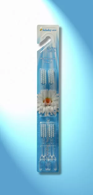 BROSSE SOLADEY LOT TETES RECHANGE Organisation maison solutions rangement