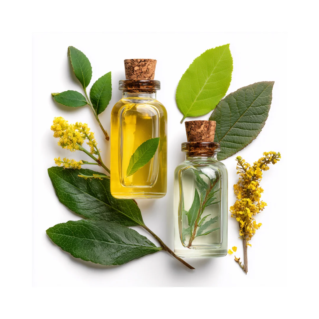 Atelier découverte de l’aromathérapie - Saldi Straordinari – Offerte Speciali Disponibili Adesso - Naturopathe