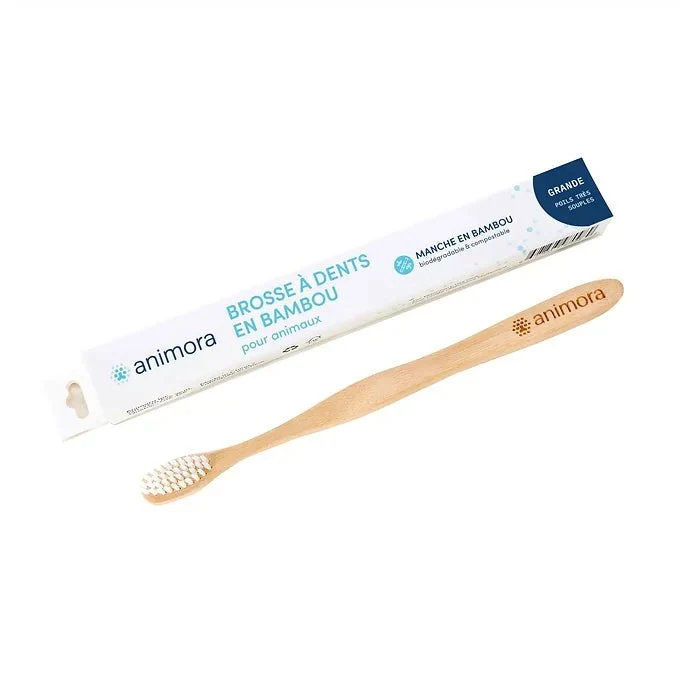 Brosse dents bambou Saldi Straordinari Offerte Speciali Disponibili Adesso