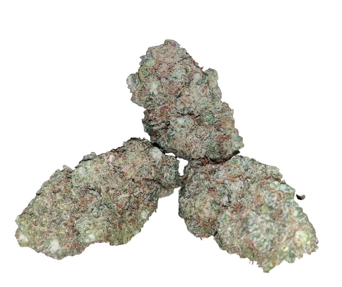 Fleurs CBD Super Skunk Indoor - Saldi Straordinari – Offerte Speciali Disponibili Adesso - fleur rose