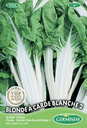 Poirée blonde à cardes blanches 2 - Saldi Straordinari – Offerte Speciali Disponibili Adesso - bette poirée blonde carde
