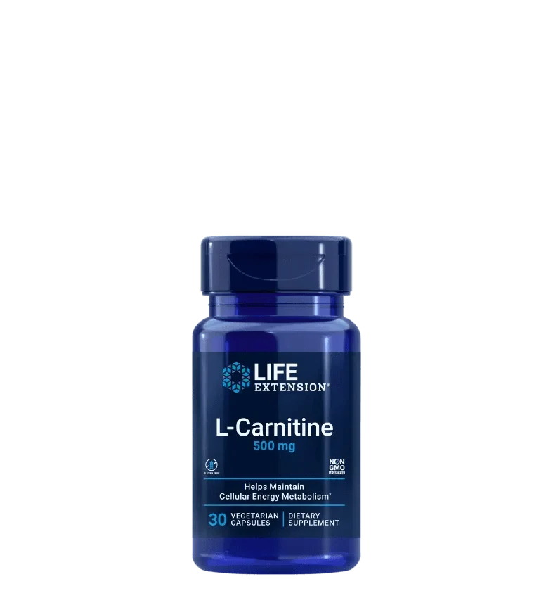 Carnitine Saldi Straordinari Offerte Speciali Disponibili Adesso