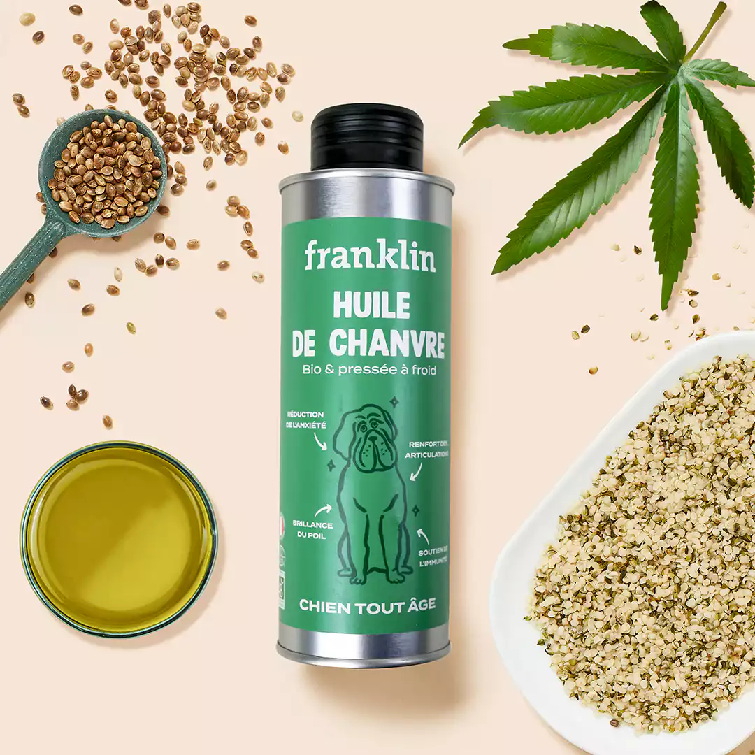 HUILE DE nutrition CHANVRE BIO - Saldi Straordinari – Offerte Speciali Disponibili Adesso