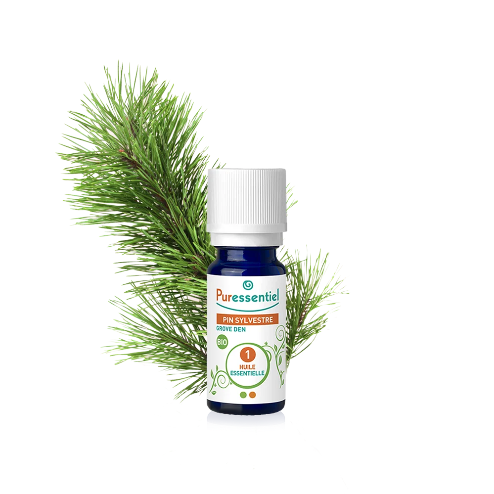 Huile Essentielle Pin Sylvestre BIO - Saldi Straordinari – Offerte Speciali Disponibili Adesso Les différentes huiles - ICI