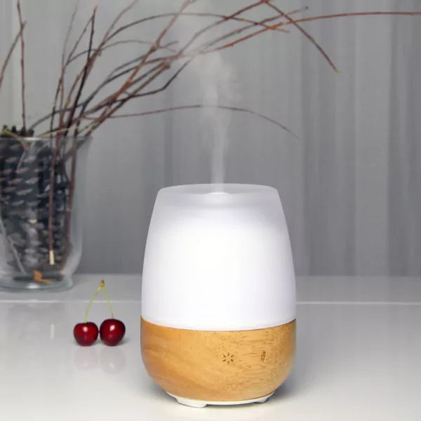 DIFFUSEUR D’HUILES ESSENTIELLES JOLISIA - Organisation de la maison avec des solutions de rangement - Astuce rangement