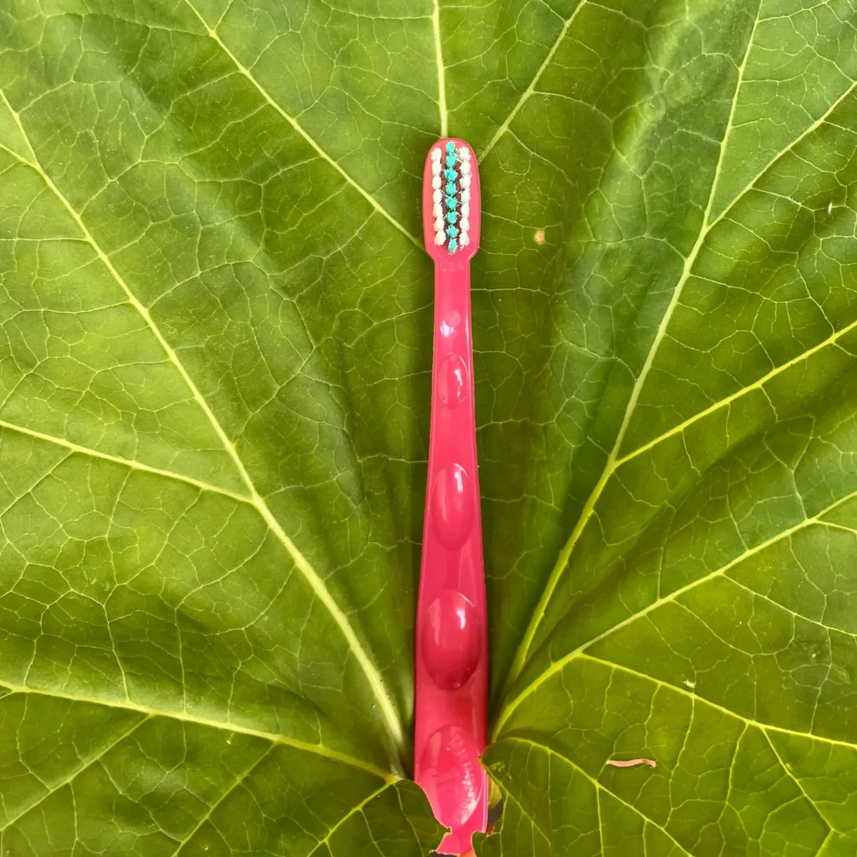 Brosse à dents - plastique recyclé 1 à 6 ans - Saldi Straordinari – Offerte Speciali Disponibili Adesso - Dent oral b