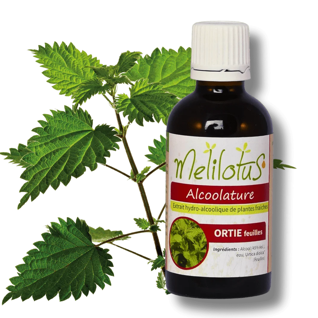 Alcoolature Ortie (feuilles) - Saldi Straordinari – Offerte Speciali Disponibili Adesso Alcoolature achillée millefeuille