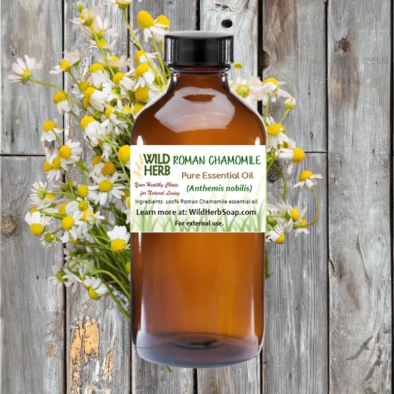 Chamomile, Roman Pure Essential Oil - Saldi Straordinari – Offerte Speciali Disponibili Adesso - Art