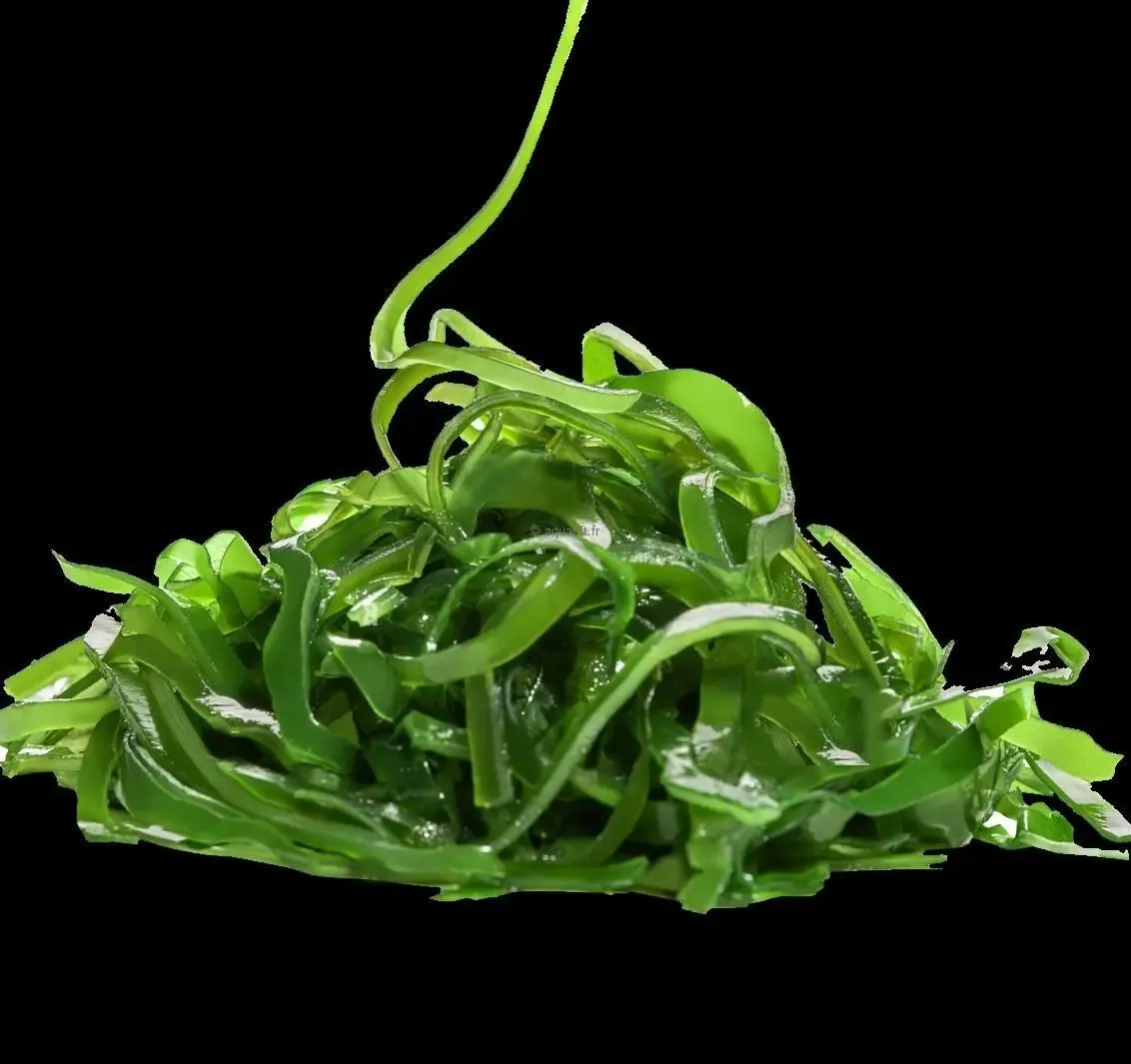 Kelp Varech algues naturel pour mangeur d’algues - intéressant ​Drones Professionnels & Grand Public | Boutique Française